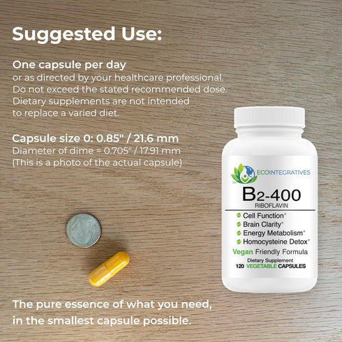 B2-400 Pure Riboflavin - Nervous System Health, Cardiovascular Support, Energy Boost, 120 Capsules