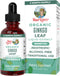 MaryRuth Organics Ginkgo Leaf Liquid Drops, 60 Servings - Herbal Nootropic for Circulatory & Nervous System Health
