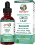 MaryRuth Organics Ginkgo Leaf Liquid Drops, 60 Servings - Herbal Nootropic for Circulatory & Nervous System Health