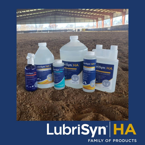 Lubrisyn HA with MSM, Vegan Joint Relief Supplement, 30 Day Supply of Liquid Hyaluronic Acid for Joints
