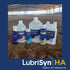 Lubrisyn HA with MSM, Vegan Joint Relief Supplement, 30 Day Supply of Liquid Hyaluronic Acid for Joints