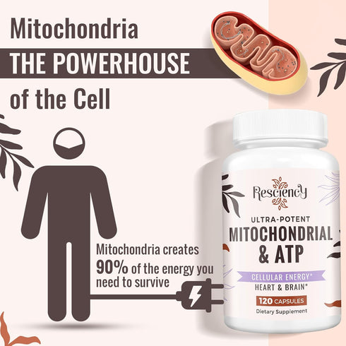 2326 MG Mitochondrial Supplements with ATP, CoQ10 & PQQ - 240 Capsules for Energy, Endurance, Strength & Recovery