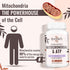 2326 MG Mitochondrial Supplements with ATP, CoQ10 & PQQ - 240 Capsules for Energy, Endurance, Strength & Recovery