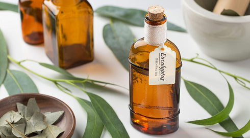 Room Ritual Aromatic Room Mist, 8 oz, Infused with Natural Essential Oils, Aloe + Eucalyptus + Lavender
