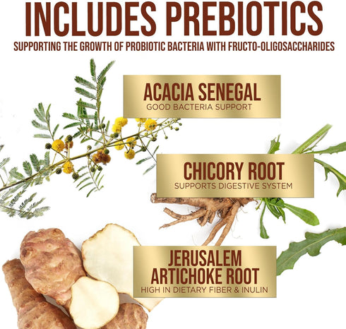 Probiotics 60 Billion CFU - 10 Probiotic Strains, Prebiotics, & Digestive Enzymes - Supports Immune & Digestive Health