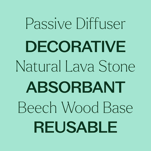 Plant Therapy Lava Rock Passive Diffuser for Essential Oils Great for Decorating at Home, Office or Car