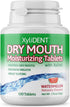 Nature's Stance XyliDENT Xylitol Tablets for Dry Mouth Relief, 100 Count, Freshens Breath