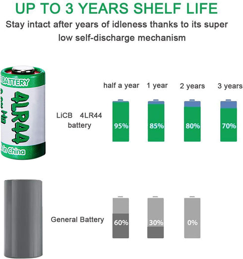 LiCB 10 Pack 4LR44 6V Battery PX28A 476A A544 K28A L1325