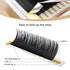 LASHVIEW C Curl Eyelash Extensions, 8-15mm Mixed 0.15 Classic Lashes, Professional Lash Trays