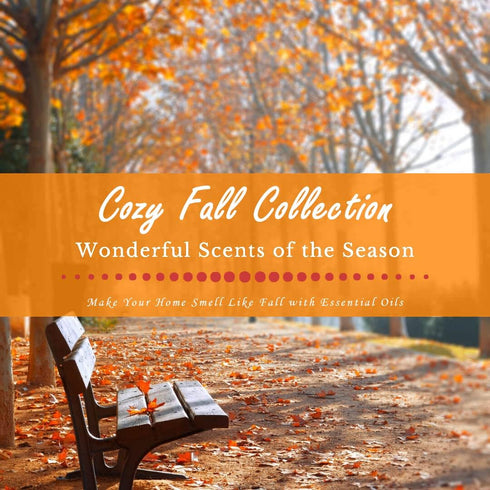 SALUBRITO Fall Essential Oils Set - Autumn Fragrance Oil for Diffuser, Candle Making, 6x10ml - Cinnamon, Pumpkin Spice