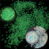 PrettyG 5 Boxes Set Luminous Star Nail Art Glitter, Glow in The Dark 3D Holographic Sparky Star Shape Stickers for DIY