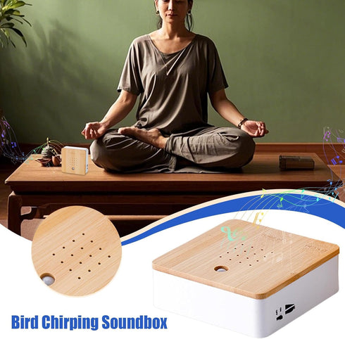 Singing Bird Box White Noise Nature Sound Box with Motion Sensor Portable Birds Chirping Versatile Smart Animal Noise
