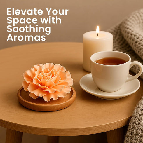 HOME ARCHIVE Aroma Diffuser with Aromatherapy Fragrant Oil Diffusers for Home Room Decor Fig Fragrance (Carnation