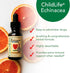 CHILDLIFE ESSENTIALS Echinacea for Kids - Natural Orange - Kids Echinacea Drops, 1 Fl Oz (Pack of 3) - Alcohol Free