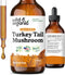 Wild & Organic Turkey Tail Mushroom Tincture - Immune Support Drops with