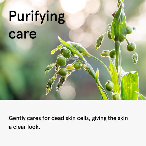 ONE THING Coix Seed Extract Toner 5.07 Fl Oz - Hydrating Exfoliating Extract for Dewy Skin, Dark Spots, Acne Scars