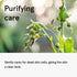 ONE THING Coix Seed Extract Toner 5.07 Fl Oz - Hydrating Exfoliating Extract for Dewy Skin, Dark Spots, Acne Scars