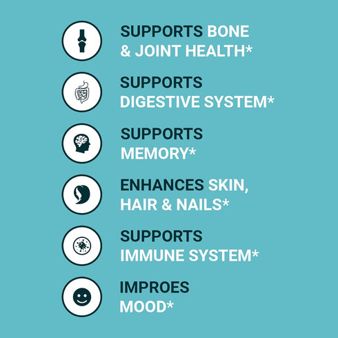 Zammex Bone Broth Protein Powder, Pure Grass Fed Beef, Vanilla Protein Powder,Hydrolyzed Collagen Supplement