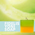 Fidelis Yoni Soap Bar, 2 Pack 3.5 Oz pH Balanced Natural Feminine Wash (Honeydew)