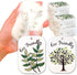 10PACK Biodegradable Natural Plant Based Cellulose Dish Sponges: Non Scratch, Multi-Purpose for Kitchen, Household,
