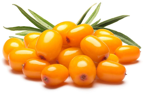 US Organic Sea Buckthorn Berry Oil - Supercritical CO2 Extracted - 100% Pure Virgin in Amber Glass Bottle