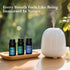 Set 6 10ml Essential Oils Blended, Essential Oil for Diffusers for Home Candle & Soap Making, Oils for Aromatherapy