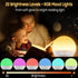 Sunset 30 Sunrise Alarm Clock & White Noise Machine, Effective Alarm Clocks for Deep Sleepers, Bluetooth Speaker Wake