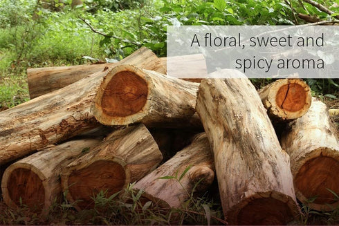 ArOmis Rosewood Essential Oil - 150-micron mesh filtered for purity.10ml (.34 Fl Oz), Undiluted, Premium, Oils Perfect for Aromatherapy