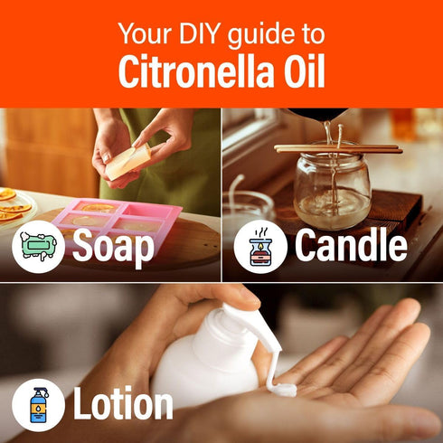 H’ana Citronella Oil, 100% Pure and Natural Essential Oil for Candle Making and Aromatherapy - 1 Fl Oz