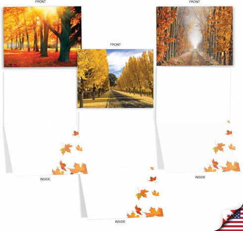 The Best Card Company 10 Beautiful Blank Note Cards (4 x 5.12 Inch) - Fall Foliage Assortment, Boxed Notecards
