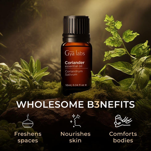 Set Set 2x0.34 oz Coriander & Roman Chamomile Essential Oil - Aromatherapy Grade Essential Oils - fl