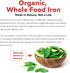 Organic Iron Whole Food Iron Supplement & Cofactors, 25 mg Elemental Iron, 90 Capsules, Blood Health Support
