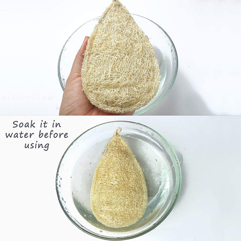 Natural Loofah Dish Sponge Pack of 10 Miw Piw Vegetable Scrubber for Kitchen - 100% Biodegradable Compostable