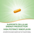 Nature's Way Riboflavin Vitamin B2, 100 mg per Serving, High Potency, Supports Cellular Energy Production, 100 Capsules