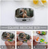 STVNKML 2 Squirrel Pill Box Travel Pill Organizer Compartment Weekly Pill Case with Mirror A Day Medicine Container