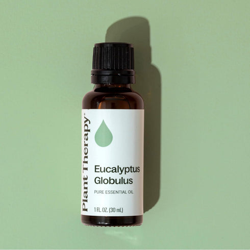 Plant Therapy Eucalyptus Globulus Essential Oil, 30 mL (1 oz) for Diffuser, Skin, Hair, Aromatherapy
