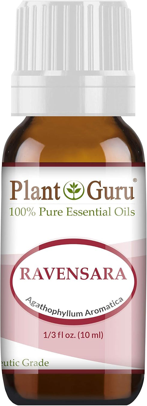 Wild Ravensara Essential Oil (Agathophyllum Aromatica Madagascar) 10 ml 100% Pure Undiluted Therapeutic Grade.