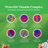 Delicious Daily Kids Multivitamin Gummies - Immunity Support with Vitamins A, C, D3, E, B, Zinc, Gluten Free