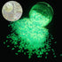 PrettyG 6 Boxes Luminous Nail Art Glitter Set, Glow in The Dark 3D Stickers for DIY Nail Craft Accessories