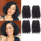 Human Hair Bundles, Kinky Curly Wave Hair, 4 Bundles 50 Gram/Bundle, 8A Unprocessed Kinky Curly Wave (8 8 8 8 1b)