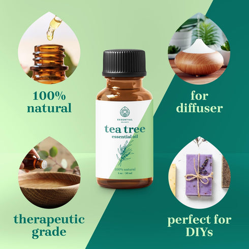Tea Tree Essential Oil 1 oz by Essential Delights - 100% Pure & Certified Distilled Oil