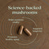 New Chapter Reishi Mushroom, LifeShield Reishi for Healthy Aging, 60 ct