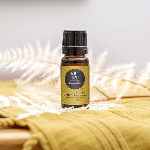 Edens Garden Laurel Leaf Essential Oil, 100% Pure Therapeutic Grade (Undiluted Natural/Homeopathic Aromatherapy Scented Essential Oil Singles) 10 ml