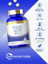 Carlyle Folic Acid 800 Mcg Tablets | 400 Count | Vegetarian, Gluten Free, Non-GMO Supplement