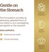 Solgar Gentle Iron 25mg | 90 Vegetable Capsules - Non-GMO, Vegan, Gluten Free, Dairy Free, Kosher, Halal - Energy,