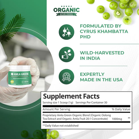 Amla Powder & Decaf Green Tea Superfood Supplement, 20x Ultra Concentrated, Organic, Vegan, 90 Servings