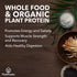 SOTRU Organic Vegan Protein Powder, Vanilla, 18.5 oz, 21 Servings, Plant Based with Superfoods