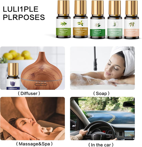 KOURUILIFE Set, 100% (12) Essential Oils Organic Essential Oil, Lavender, Ylang Ylang, Tea Tree, Eucalyptus Scented