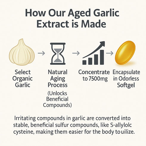 YLOTRE 7500mg Immune 300 (1) Elare Aged Garlic Extract, Organic Garlic Capsules Supplement, Potent Heart & Support