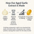 YLOTRE 7500mg Immune 300 (1) Elare Aged Garlic Extract, Organic Garlic Capsules Supplement, Potent Heart & Support